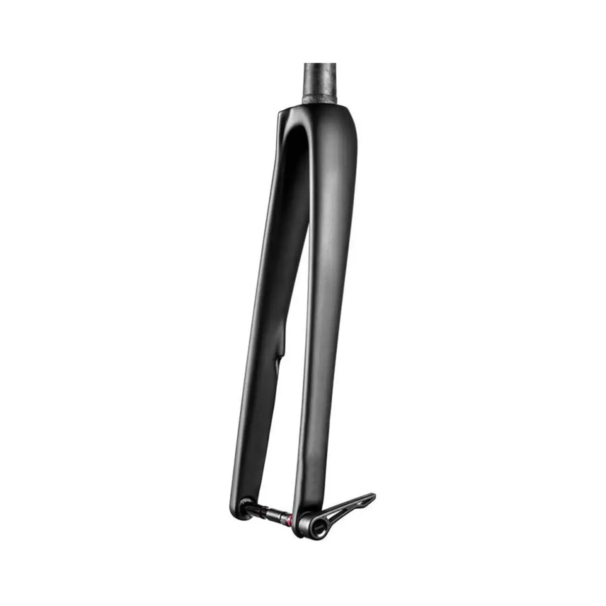 custom bike carbon fiber fork