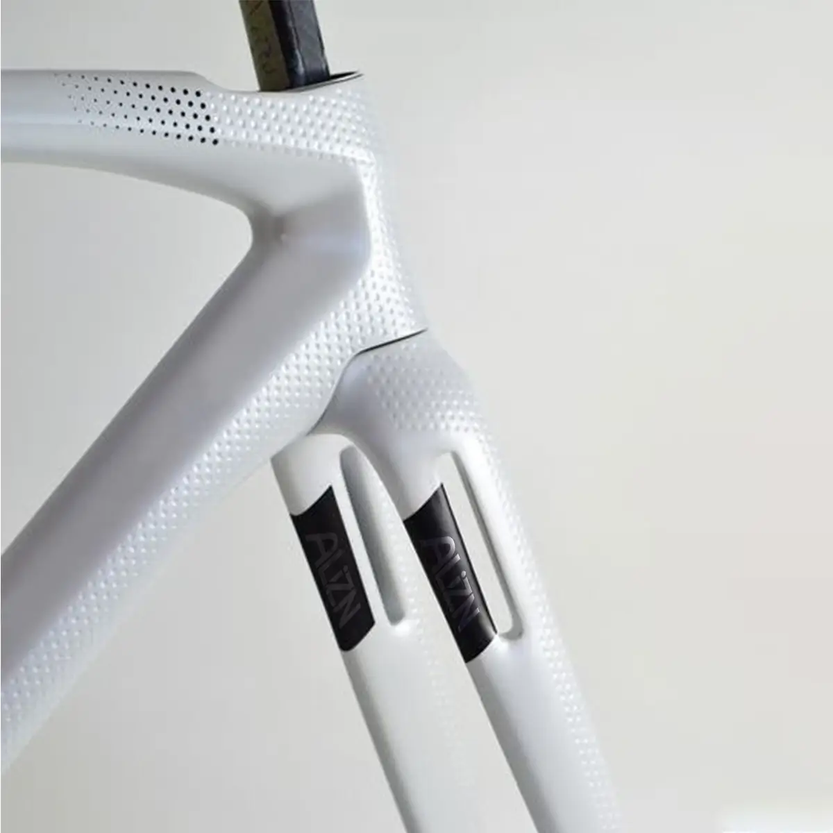 custom carbon fiber mountain bike frame